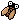 cicada.gif